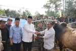 Walikota Sungai Penuh Serahkan Bantuan Sapi Qurban Presiden Prabowo