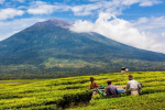 Kabar Terbaru Kerinci