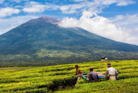 Kabar Terbaru Kerinci