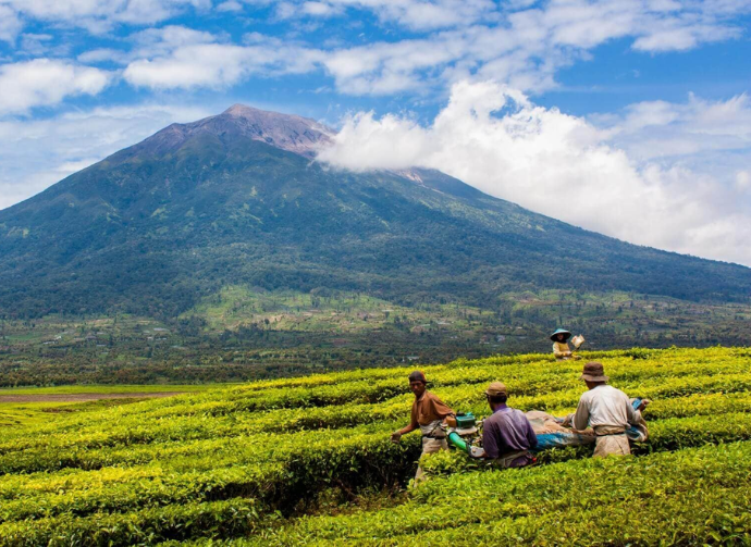 Kabar Terbaru Kerinci