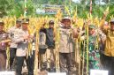 Bupati M Syukur Panen Raya Jagung di Desa Simpang Parit, Kecamatan Renah Pembarap, Kamis (25/9).