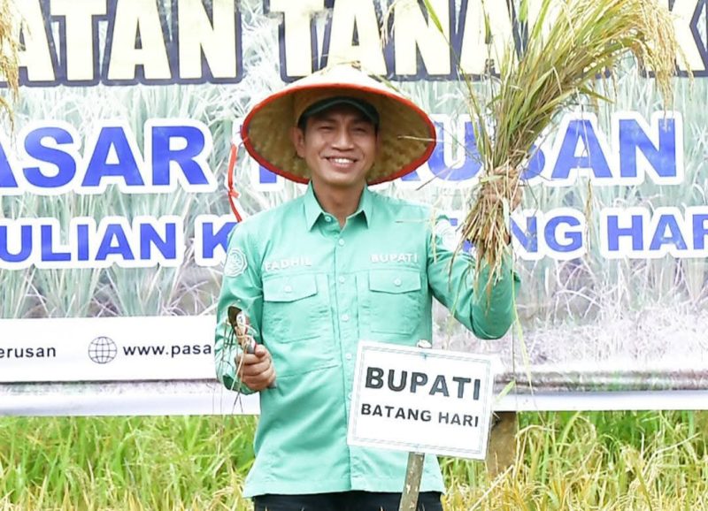 Bupati Fadhil Arief Panen Raya di Terusan,Minggu (14/09/2025)