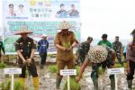 Gerakan Tanam Serentak di Sungai Penuh,Selasa (16/09)