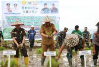 Gerakan Tanam Serentak di Sungai Penuh,Selasa (16/09)