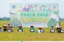 Bupati Fadhil Arief Hadiri Panen Raya dan Percepatan Tanam IP-2 di Batang Hari