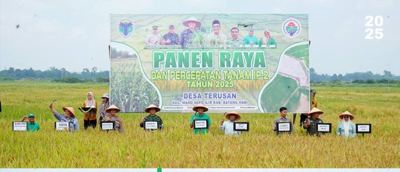 Bupati Fadhil Arief Hadiri Panen Raya dan Percepatan Tanam IP-2 di Batang Hari