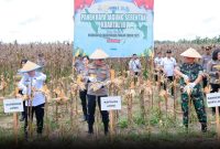 Kapolda Jambi Irjen Pol Krisno H.Siregar Panen Raya Juagung di Tanjabntim,Sabtu 27/09/2025