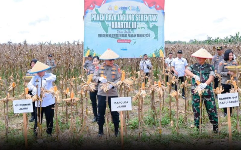 Kapolda Jambi Irjen Pol Krisno H.Siregar Panen Raya Juagung di Tanjabntim,Sabtu 27/09/2025