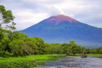 Rawa Bento Kerinci Jambi