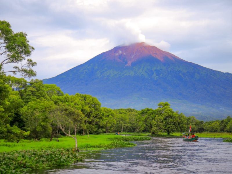 Rawa Bento Kerinci Jambi