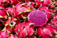 Foto : Buah Naga (Dok Istmewa)