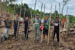 Tradis Ramai Ramai Turun Ke Ladang Di Merangin