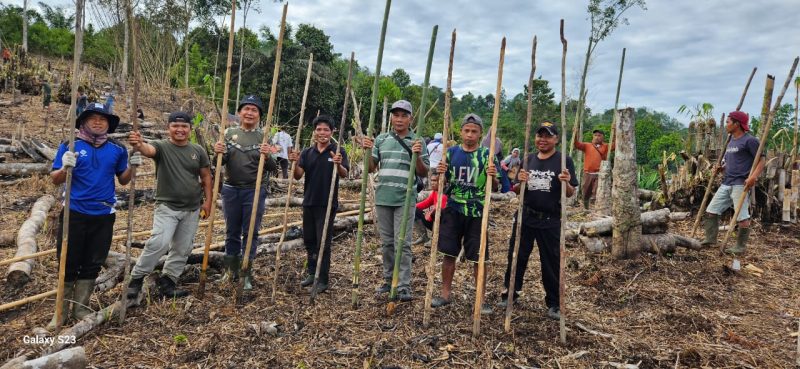 Tradis Ramai Ramai Turun Ke Ladang Di Merangin