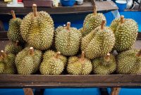 Foto : Buah Durian Jenis Musang King (Sumber : Freepik)