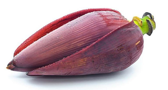 Foto : Jantung Pisang (Sumber : Frepik)