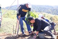 Foto : Waliota Sungai Penuh Alfin Goro dan Tanam Pohon Penghijau di Lokasi TPST,Sabtu 1 November 2025 (Dok :Roli)
