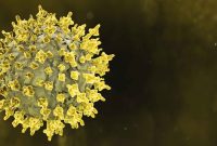 Ilustrasi Virus Nipah (Freepik)