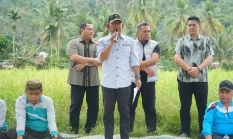 Tradisi Bantaian Adat Bukit Batu: Warga Potong 13 Kerbau Sambut