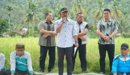 Wabub Khafied Hadiri Bataian Adat Warga